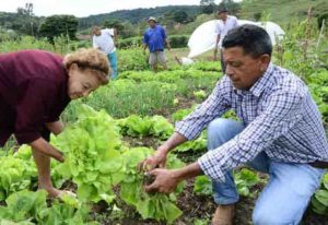 Agricultura Familiar