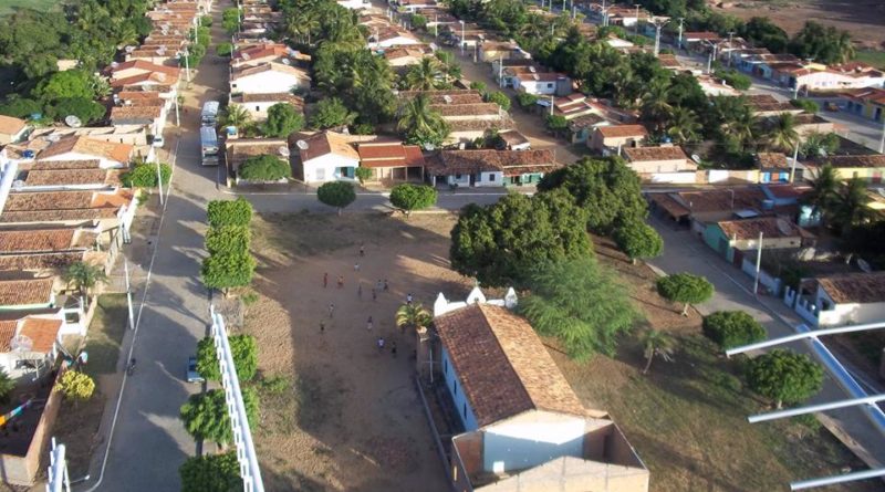 queimada grande mãe e irmã