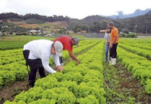 agricultura familiar