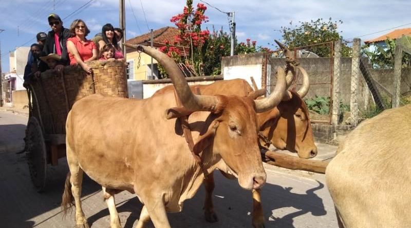 festa do carro de boi