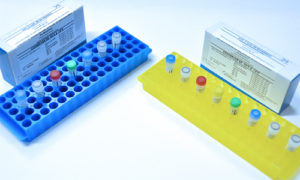 testes rápidos