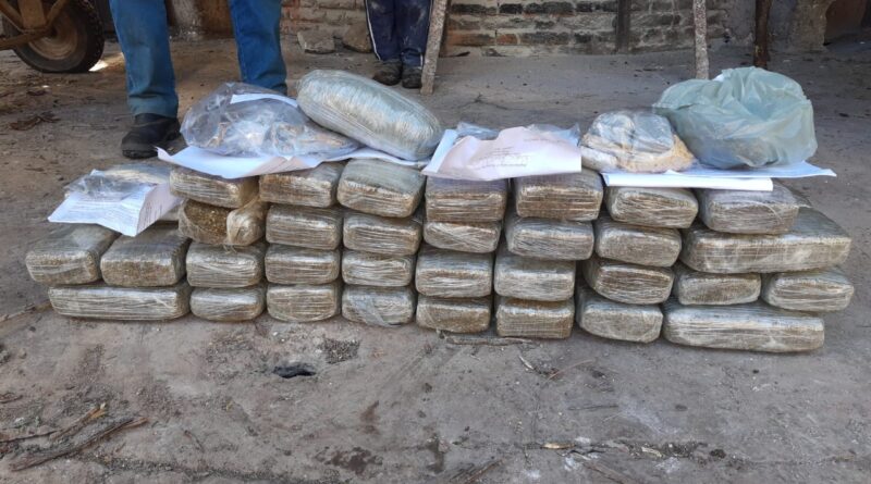 queima de drogas em euclides da Cunha